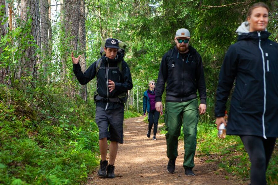 From Helsinki: Magical Taiga Hike in Liesjärvi National Park - Who should book this hike?