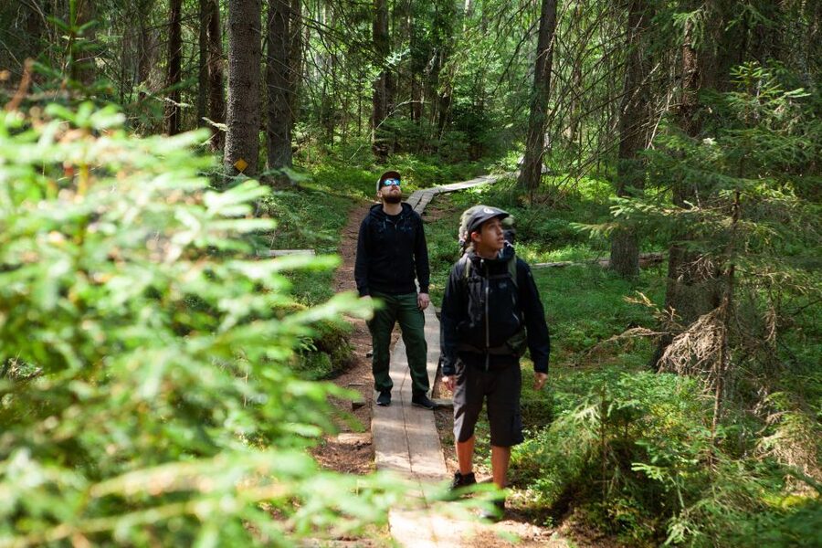 From Helsinki: Magical Taiga Hike in Liesjärvi National Park - The first two hours inside Liesjärvi National Park