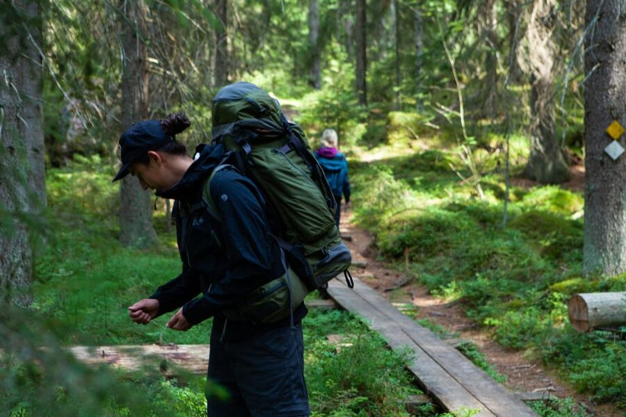 From Helsinki: Mushroom Hunting Tour in a National Park - Key points at a glance