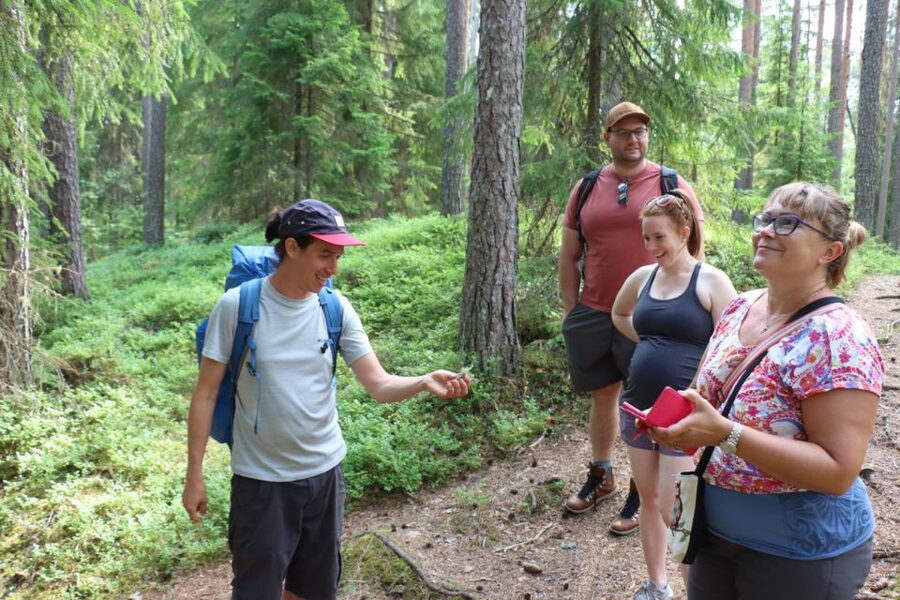 From Helsinki: Mushroom Hunting Tour in a National Park - The best fit for this seven-hour forest day