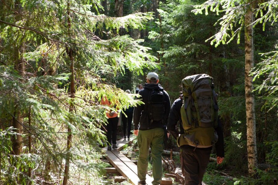 From Helsinki: Mushroom Hunting Tour in a National Park - Why this mushroom hunt is different from a standard day trip