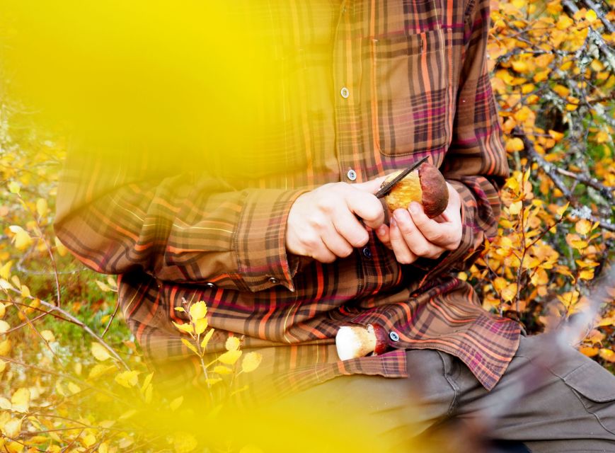From Helsinki: Mushroom Hunting Tour in a National Park - A Finnish lunch beside the campfire