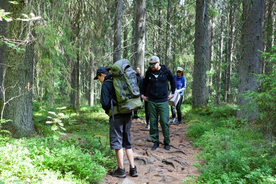 From Helsinki: Mushroom Hunting Tour in a National Park - What the small group adds