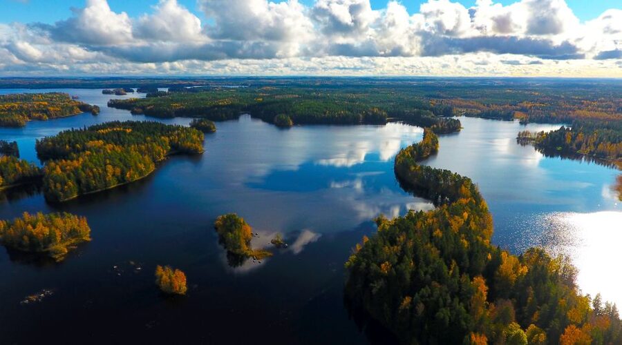 From Helsinki: Mushroom Hunting Tour in a National Park - Clothing, food needs, and practical limits