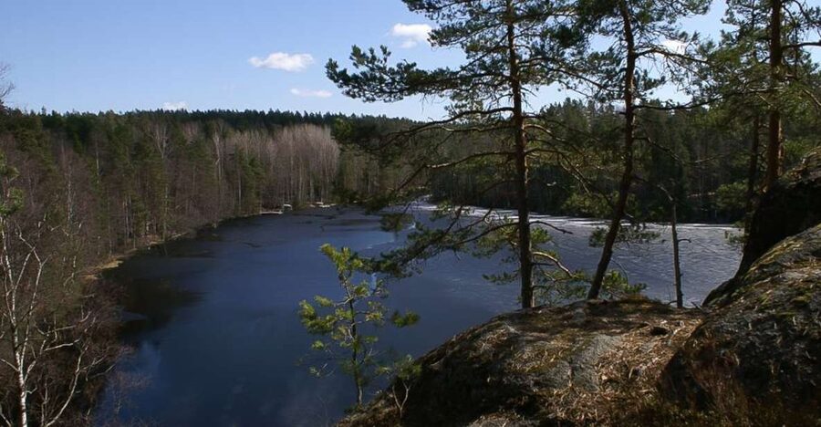 From Helsinki: Nuuksio National Park Half-Day Trip - Entering a forest of spruce, rock, and small lakes