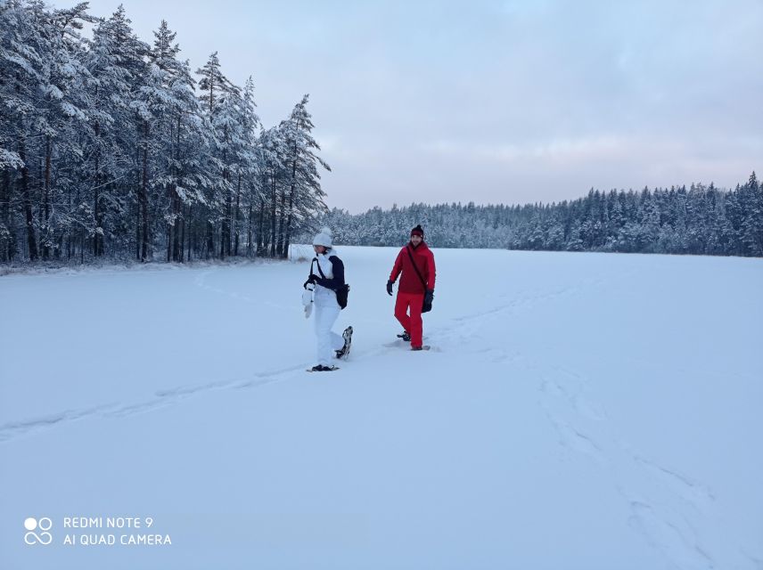 From Helsinki: Nuuksio National Park Hiking Tour with Food - The three-hour walk through Taiga forest