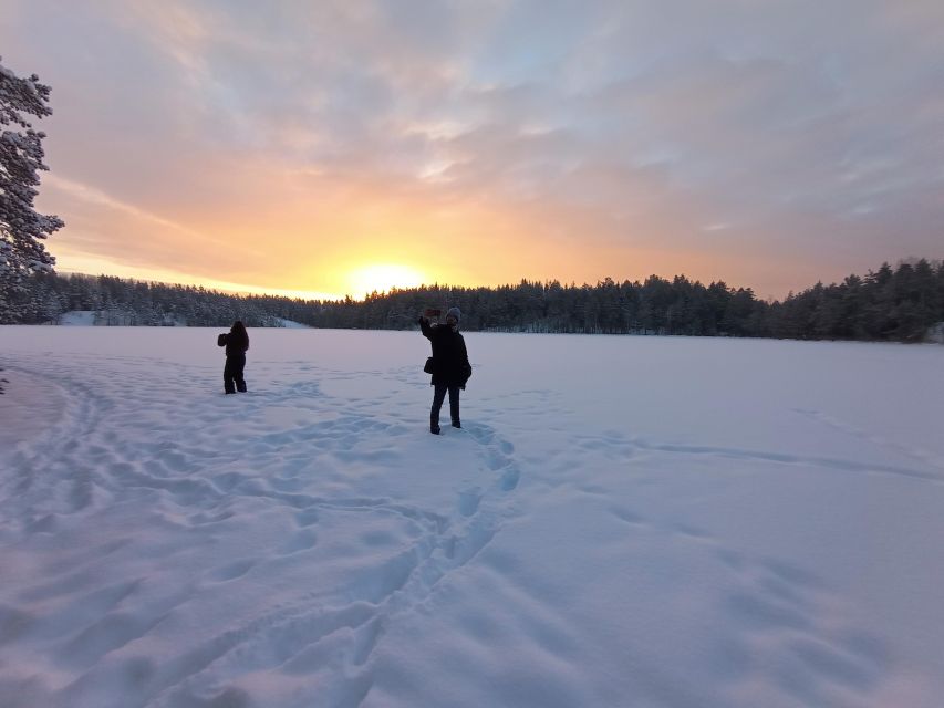 From Helsinki: Nuuksio National Park Hiking Tour with Food - Summer means berries, mushrooms, and lake swimming