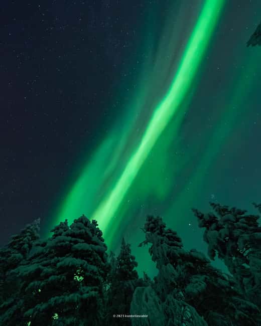 From Rovaniemi: Aurora Borealis Hunting with Photos & Videos - Booking tips for a better chance of enjoying it