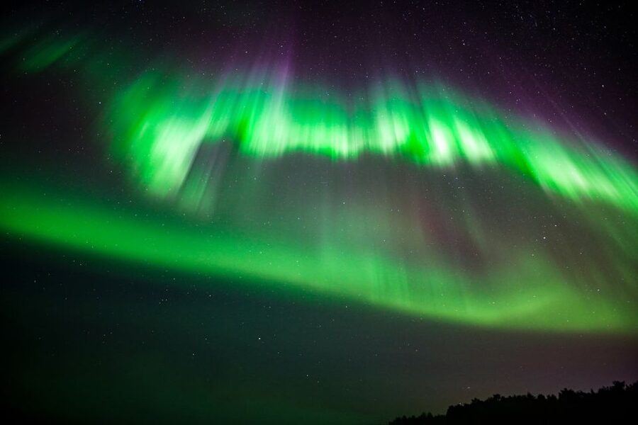 From Rovaniemi: Family-Friendly Northern Lights Tour - Key points at a glance