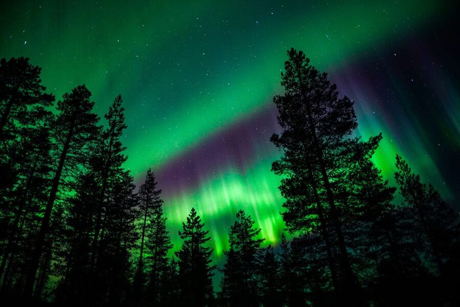 From Rovaniemi: Family-Friendly Northern Lights Tour - The teepee fire is the tour’s safety net