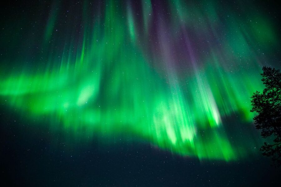 From Rovaniemi: Family-Friendly Northern Lights Tour - Is $123 a fair price?