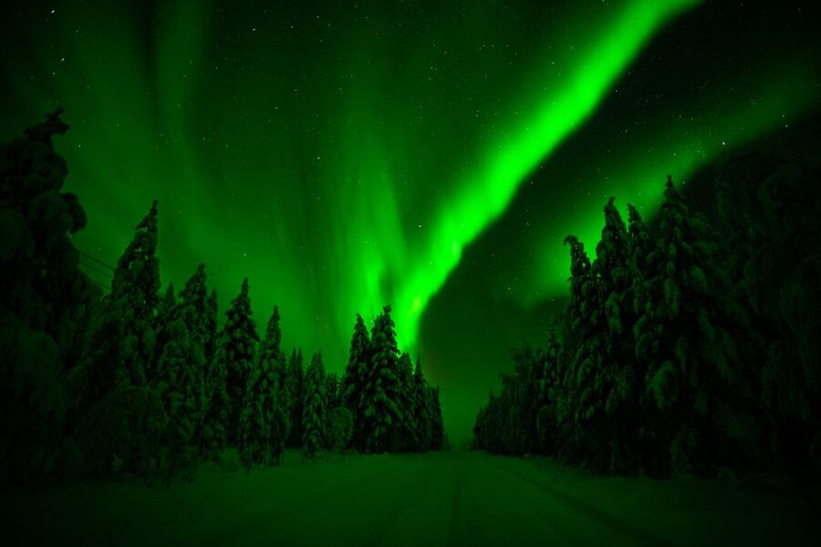 From Rovaniemi: Family-Friendly Northern Lights Tour - Timing, clothing, and practical planning