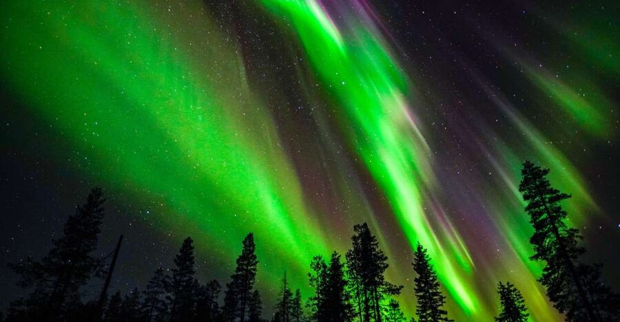 From Rovaniemi: Family-Friendly Northern Lights Tour - Who should book this family tour?