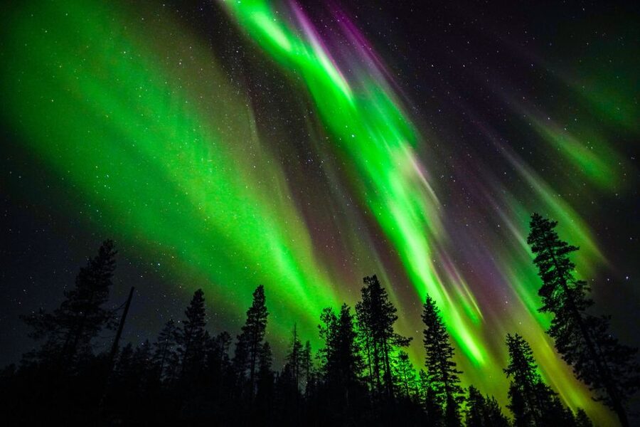 From Rovaniemi: Family-Friendly Northern Lights Tour - A private forest stop, not a guaranteed aurora machine