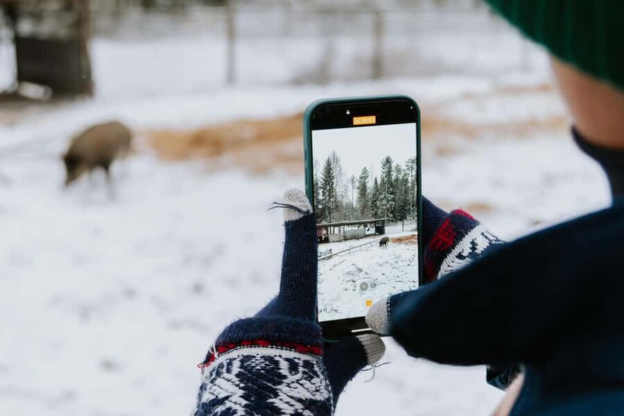 From Rovaniemi: Family Friendly Visit to Ranua Wildlife Park - Walking Ranua’s paths and meeting Arctic animals