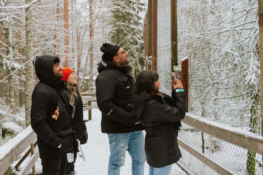 From Rovaniemi: Family Friendly Visit to Ranua Wildlife Park - The 1.5-hour drive from Rovaniemi