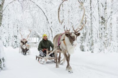 Husky and Reindeer farm with sled ride