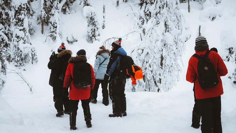 From Rovaniemi: Korouoma & Auttiköngäs Frozen Waterfalls - The guides make a real difference