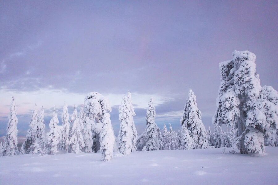 From Rovaniemi: Korouoma Canyon and Frozen Waterfalls Tour - Beginning the four-hour hike into the canyon