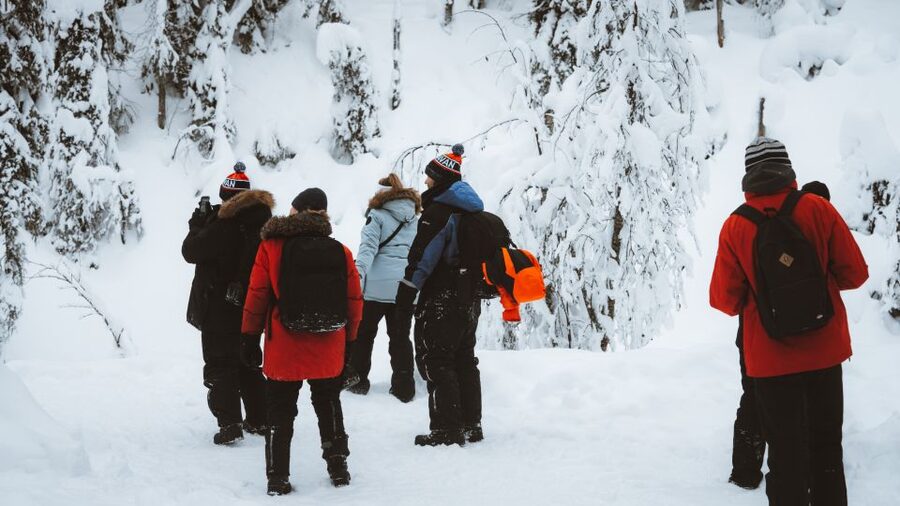 From Rovaniemi: Korouoma Canyon and Frozen Waterfalls Tour - The wilderness campfire and Finnish snack