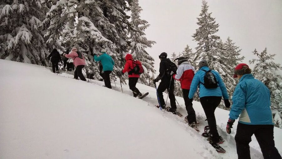 From Rovaniemi: Korouoma Frozen Waterfalls Small-Group Hike - Key points at a glance