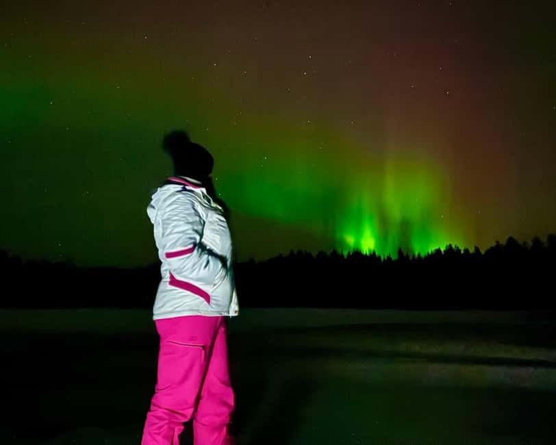 From Rovaniemi: Night Tour in Search of the Aurora with BBQ - Why three Arctic stops matter after dark