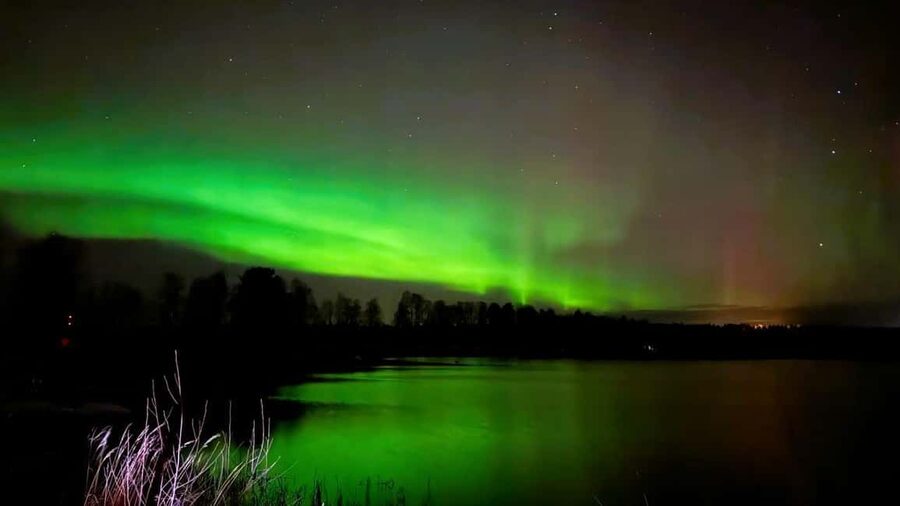 From Rovaniemi: Night Tour in Search of the Aurora with BBQ - Stop one: frozen forest and the first sky check