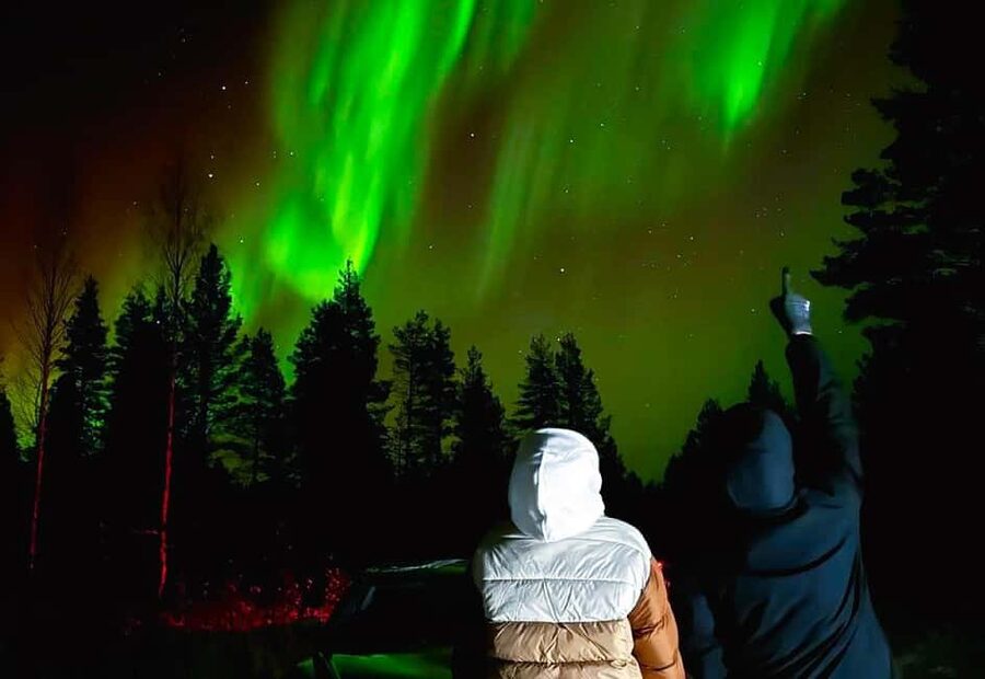 From Rovaniemi: Night Tour in Search of the Aurora with BBQ - Transport, timing, and the cold