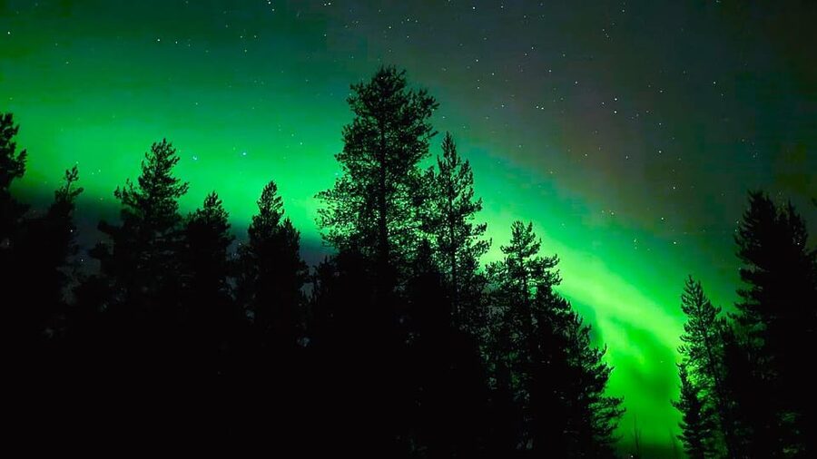 From Rovaniemi: Night Tour in Search of the Aurora with BBQ - Is $85 fair for this three-hour outing?