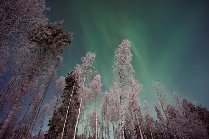 From Rovaniemi: Northern Lights Tour with Campfire Snacks - Key points to know before you book