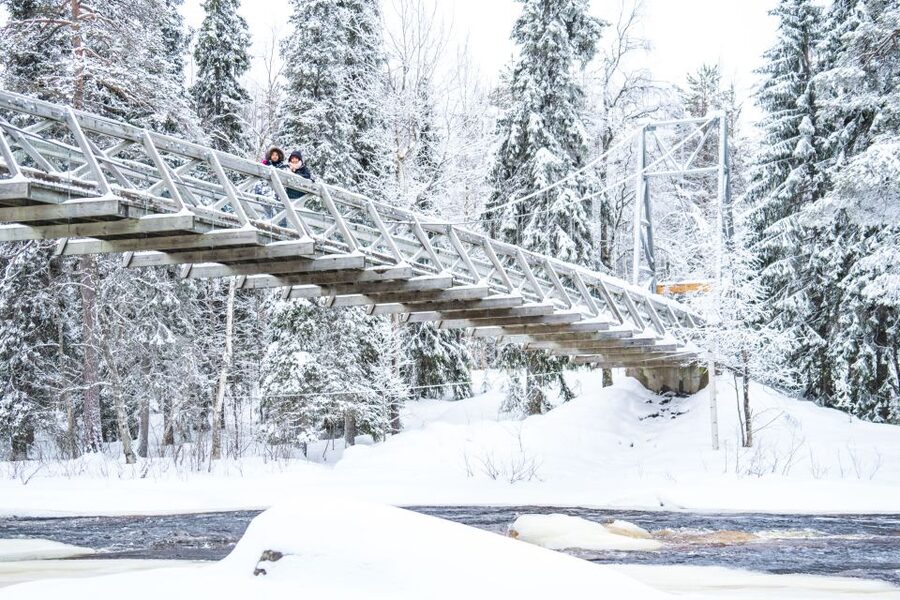 From Rovaniemi: Private Photoshoot in the Lappish Wilderness - Who will enjoy this private Rovaniemi experience?