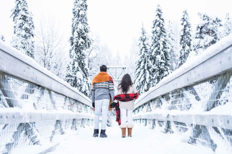 From Rovaniemi: Private Photoshoot in the Lappish Wilderness - Receiving and using the edited photos