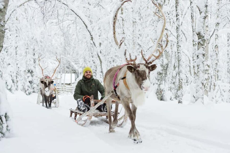 From Rovaniemi: Reindeer Farm Visit with Sleigh Ride - Key points at a glance