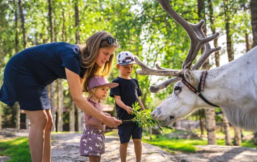 From Rovaniemi: Reindeer Farm Visit with Sleigh Ride - The 400 to 500 meter reindeer sleigh ride
