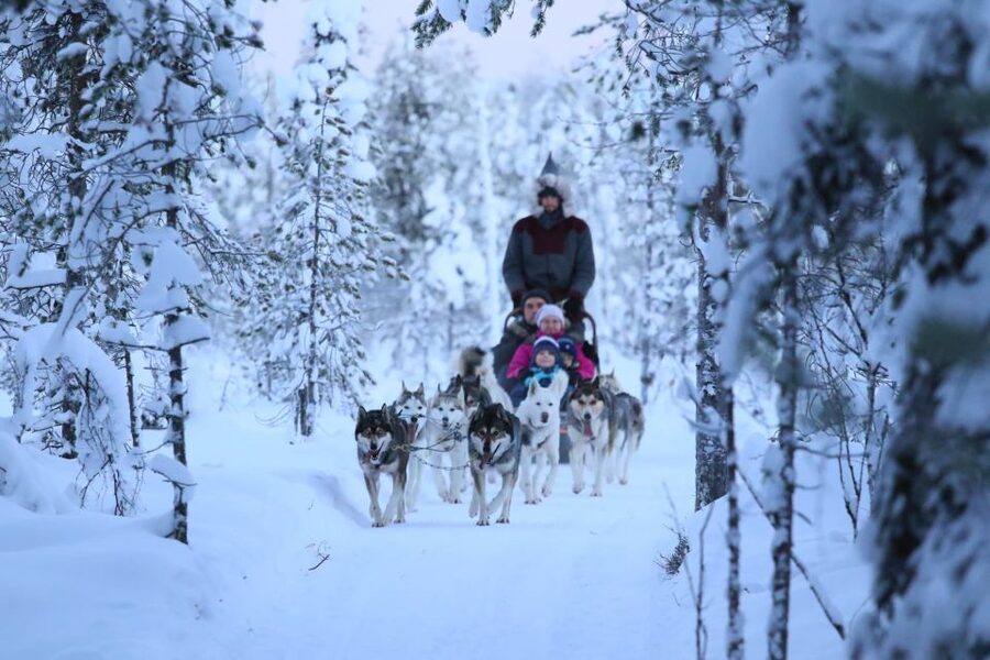 From Rovaniemi: Self-Driven 10km Husky Sled Ride - Why the small group size helps