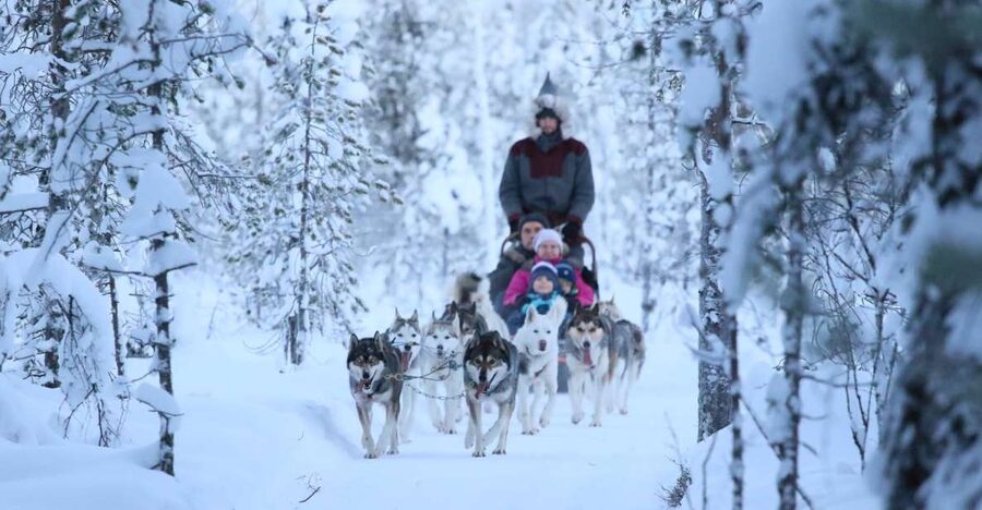 From Rovaniemi: Self-Driven 10km Husky Sled Ride - Meeting the huskies before the ride