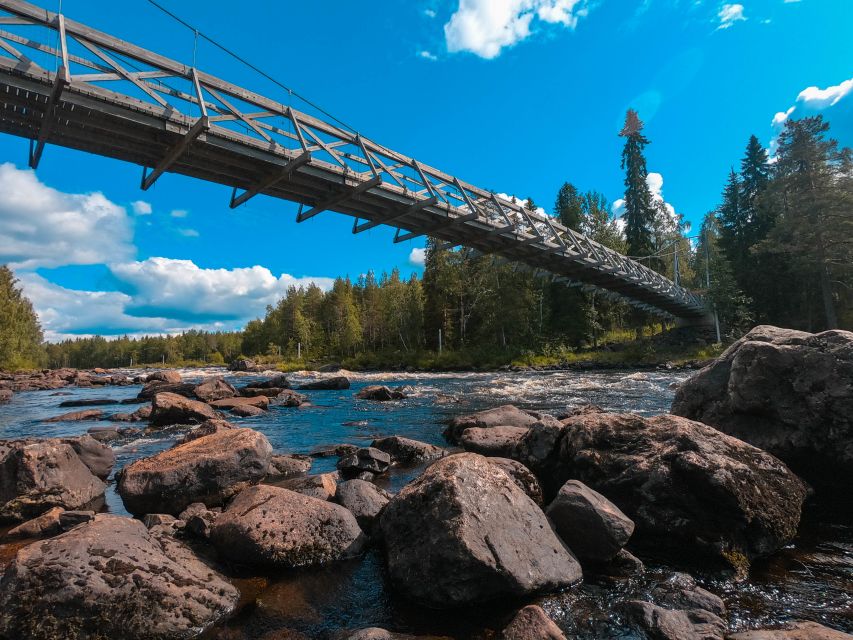 From Rovaniemi: Vikaköngäs Forest Hiking Tour - Key points to know before booking