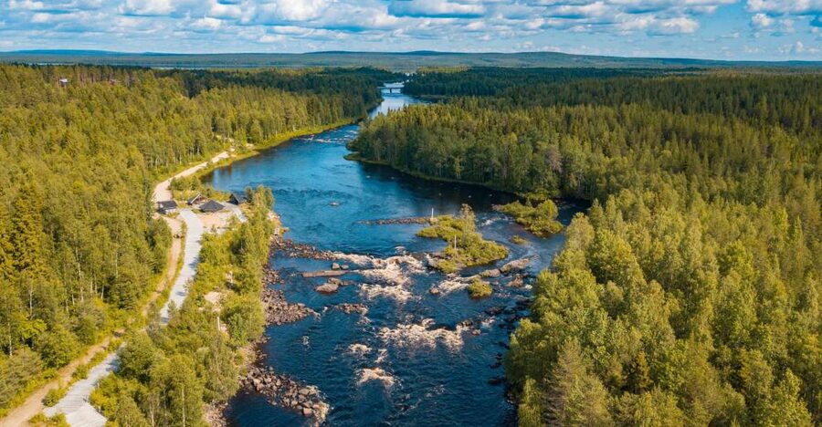 From Rovaniemi: Vikaköngäs Forest Hiking Tour - Pickup from Rovaniemi and the trip into nature