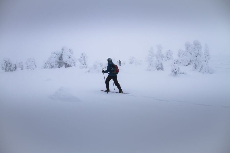 From Rovaniemi: Winter Wonderland Hike with a Hot Drink - Key points before you book