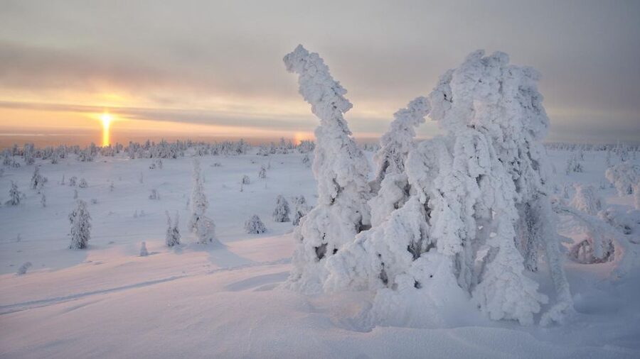 From Rovaniemi: Winter Wonderland Hike with a Hot Drink - Who will enjoy this hike most