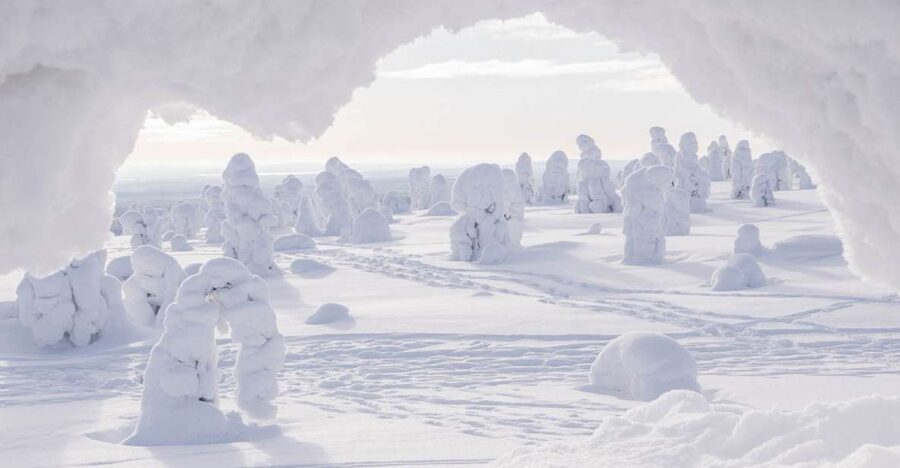 From Rovaniemi: Winter Wonderland Hike with a Hot Drink - Walking through a Finnish frozen forest