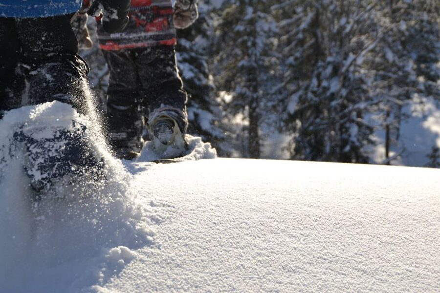 From Ruka: Snowshoeing in Oulanka National Park - Key Points To Know Before You Book