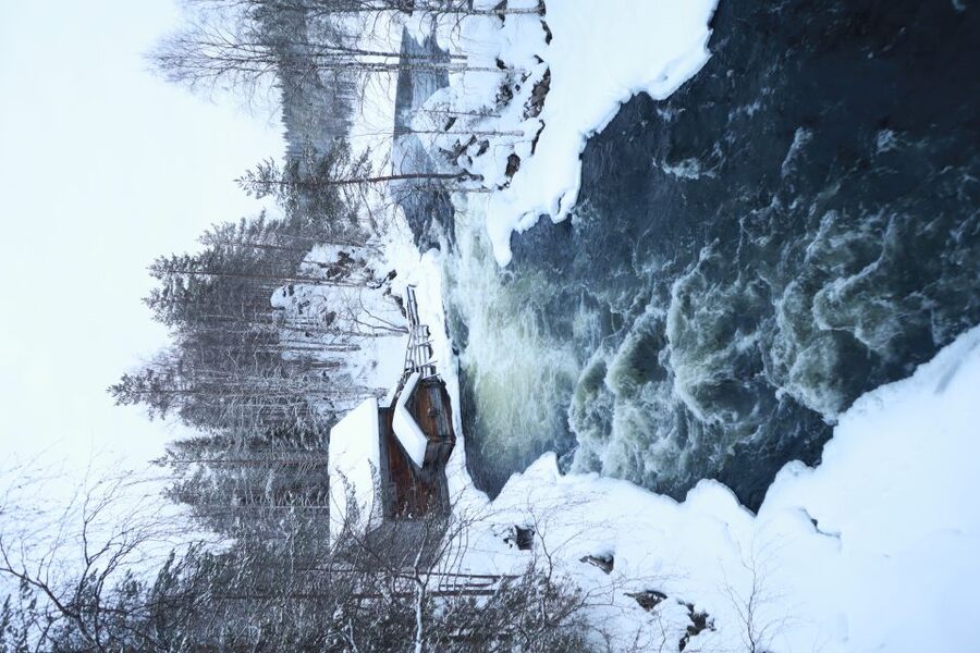 From Ruka: Snowshoeing in Oulanka National Park - Why This Oulanka Snowshoe Walk Is Worth Your Time