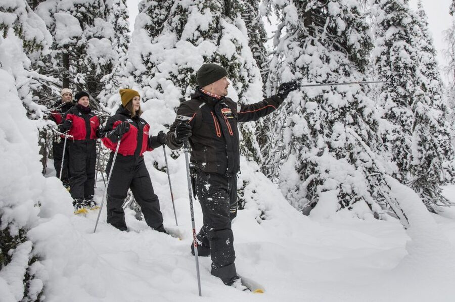 From Ruka: Snowshoeing in Oulanka National Park - Following The Kitka River Toward Myllykoski