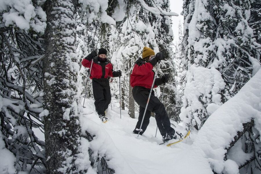 From Ruka: Snowshoeing in Oulanka National Park - Meeting Up In Ruka And Riding To Juuma