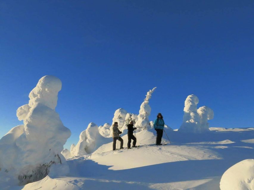 From Ruka: Snowshoeing in Riisitunturi National park - Key points to know before you book