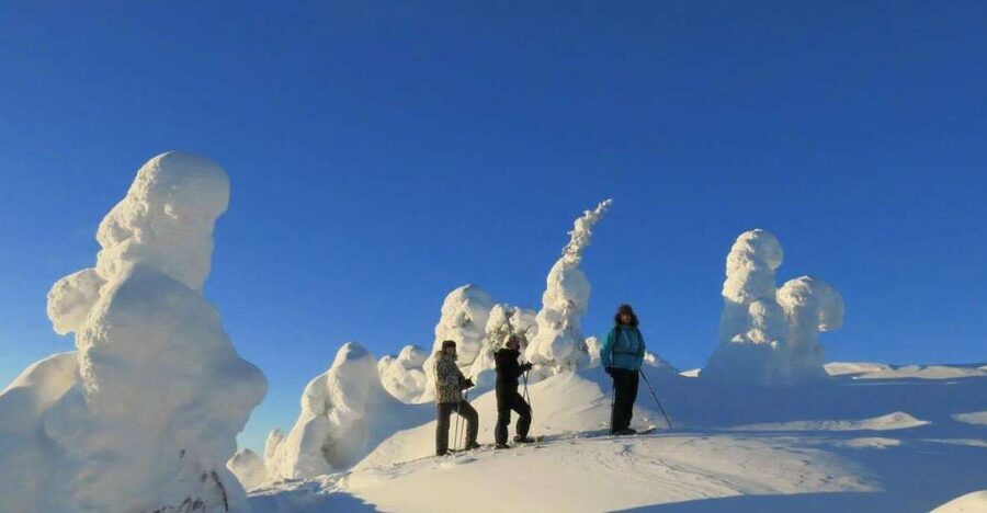 From Ruka: Snowshoeing in Riisitunturi National park - Starting in Ruka and reaching the park