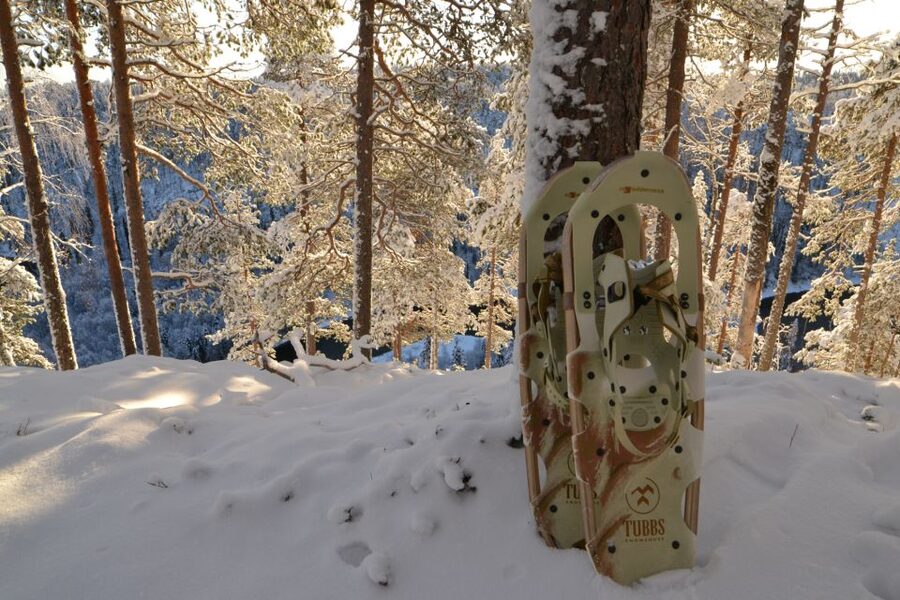 From Ruka: Snowshoeing in Riisitunturi National park - The high point: views toward Kitkajärvi