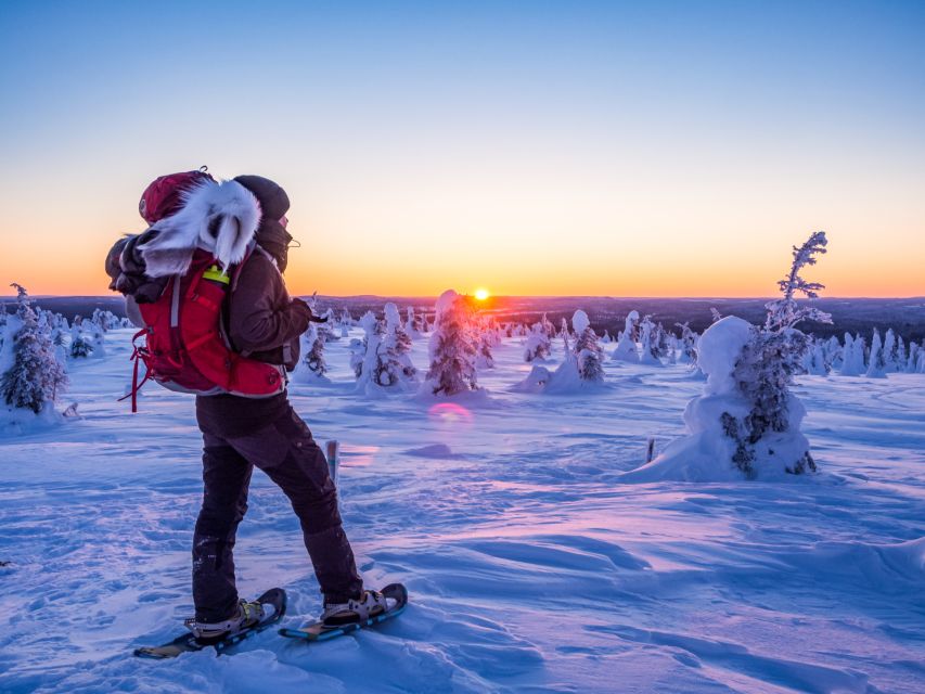 From Ruka: Snowshoeing in Riisitunturi National park - My verdict: a strong choice for a first Arctic hike