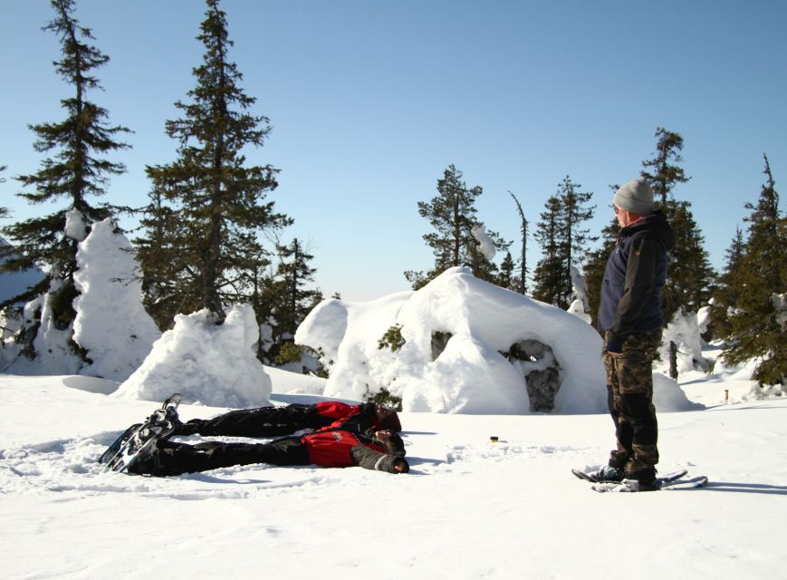 From Ruka: Snowshoeing in Riisitunturi National park - Snowshoeing through Riisitunturi’s winter forest